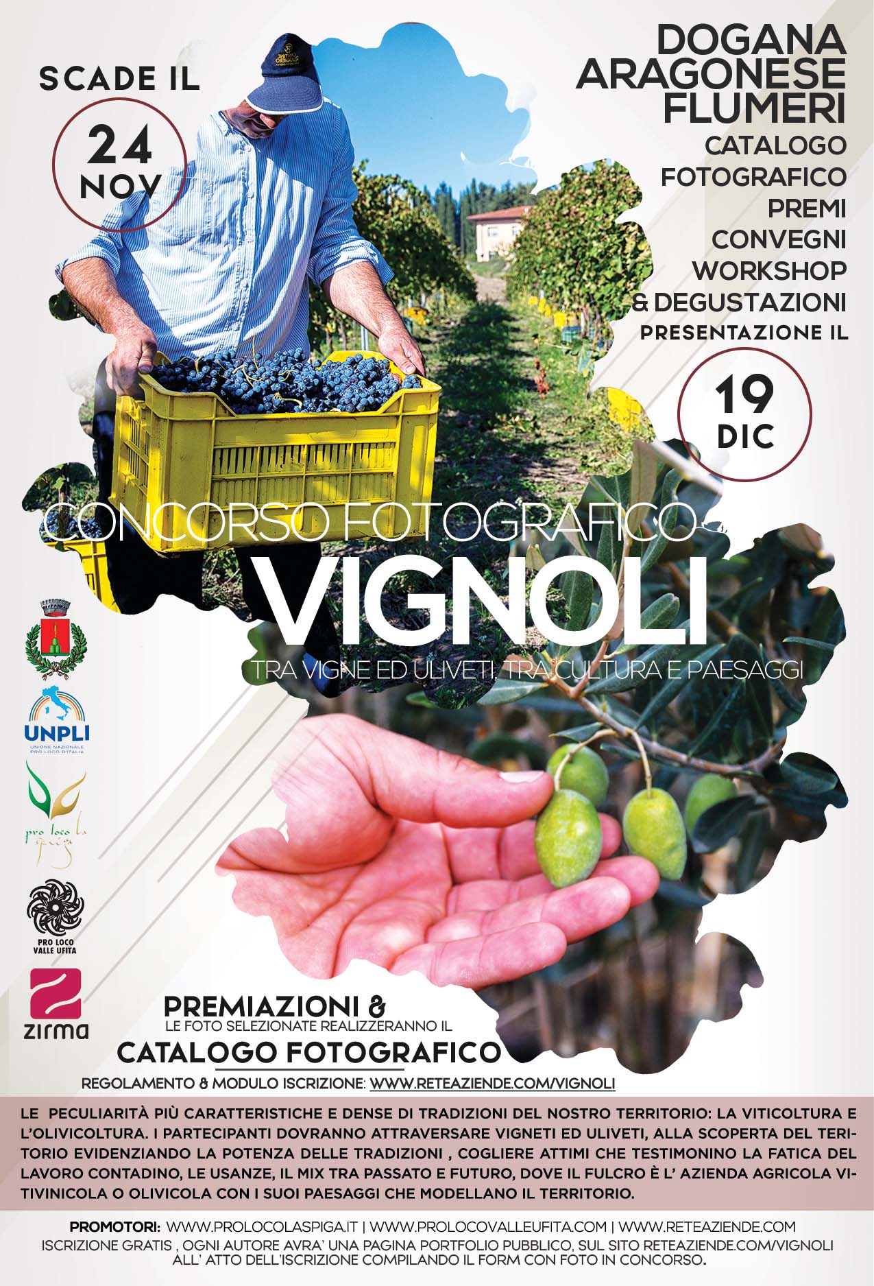 Vignoli